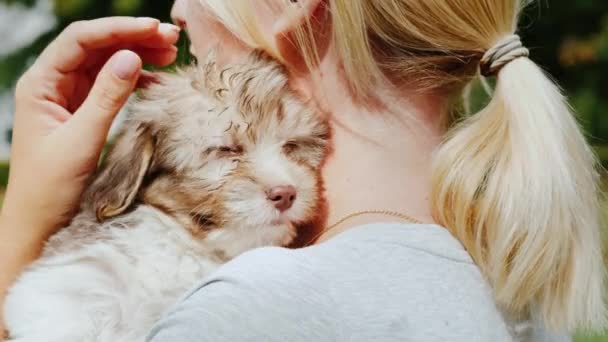 Egy nő egy kiskutyával a vállán. Stroking a szeretett kisállat — Stock videók