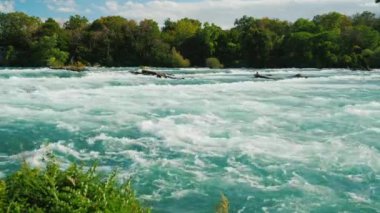 Niagara Nehri, su ve sahiller, güzel gölgesinde kaynama ormanla kaplı.