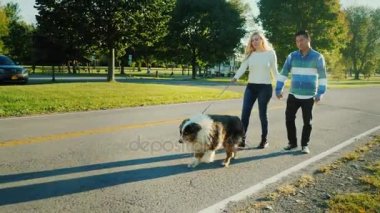 İki köpek ile parkta yürüyor