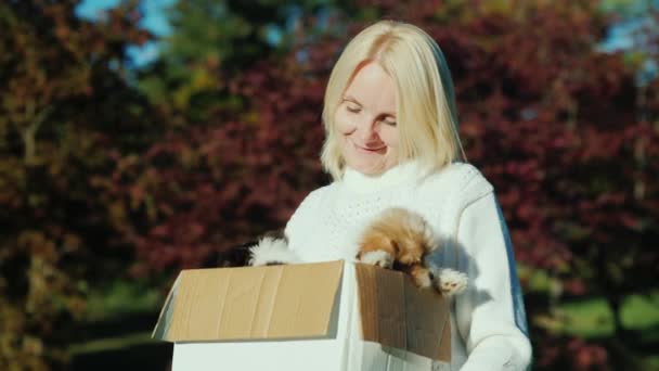 Una mujer sosteniendo una caja de cachorros en sus manos — Vídeos de Stock