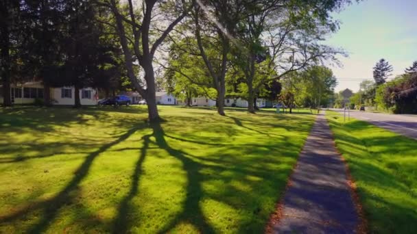A path in a park of a typical American suburban city. Beautiful long tins from trees on the lawn. Steadicam pov video — Stock Video