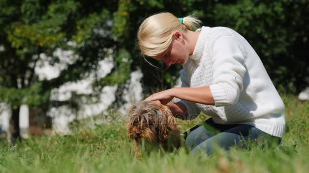 Eine Frau behandelt eine Hundehaut mit einem Präparat gegen Parasiten. Sorge für Ihr Haustier — Stockvideo