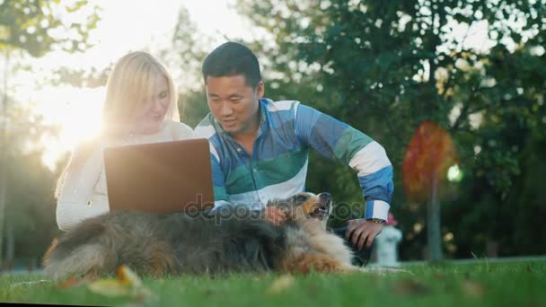 Un jeune couple se repose dans le parc avec un chien, profitant d'un ordinateur portable . — Video