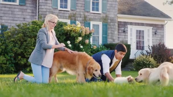 Multi-etnische paar spelen met honden in hun achtertuin — Stockvideo