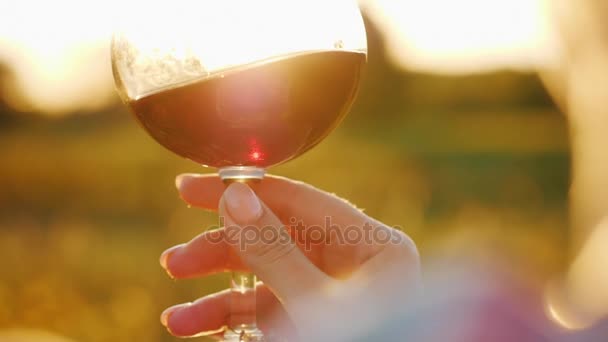 A man is holding a glass of red wine at sunset. Against the background of the vineyard. Tourists are tasting the wine concept — Stock Video