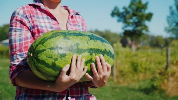 Žena nese obrovský meloun. Dobré sklizně a život na venkově koncepce — Stock video