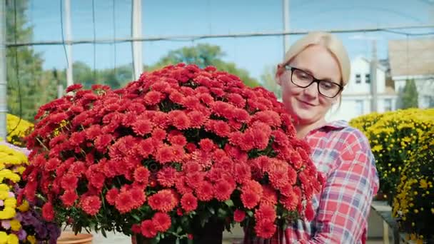 Eine Frau trägt einen Blumentopf. Arbeit in der Gärtnerei von Blumen und Kleinunternehmen Konzept. Steadicam-Aufnahme — Stockvideo