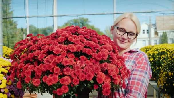 Uma mulher carrega um vaso de flores. Trabalho no berçário de flores e conceito de pequenas empresas. Steadicam tiro — Vídeo de Stock