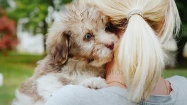 En sevdiğim köpek yavrusu şefkatle kucaklayan.