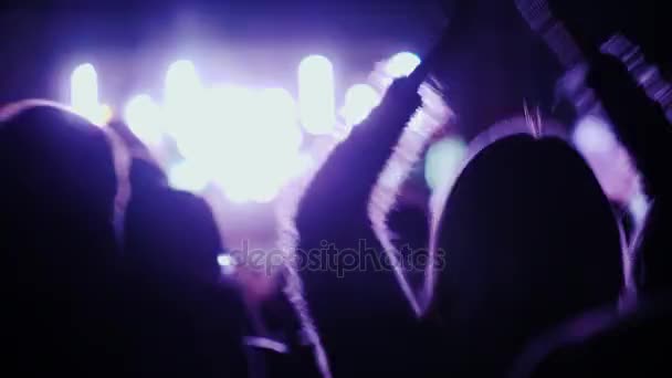 Los fans se están divirtiendo en un concierto de rock. Saltan, aplauden — Vídeo de stock