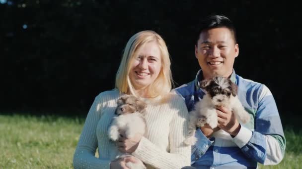 Retrato de una joven pareja mirando a la cámara, sosteniendo cachorros en las manos — Vídeos de Stock