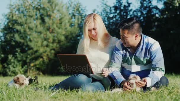 Casal jovem trabalhando com laptop em seu quintal. Próximo filhotes de corrida — Vídeo de Stock