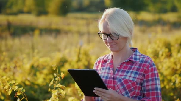 Una agricultora que trabaja con una tableta en el campo. Vale la pena por la viña — Vídeos de Stock