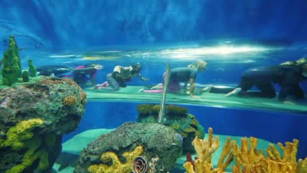 Toronto, Canada, October 2017: Several children are happily crawling along a transparent pipe underwater in an aquarium — Stock Video