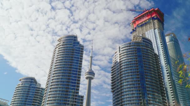 トロント、カナダ、2017 年 10 月: 有名な Cn タワーは、ガラスの高層ビルで囲まれています。トロントのダウンタウン — ストック動画