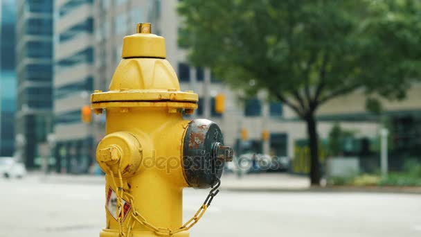 Желтый пожарный гидрант. На заднем плане размытая оживленная улица Торонто — стоковое видео