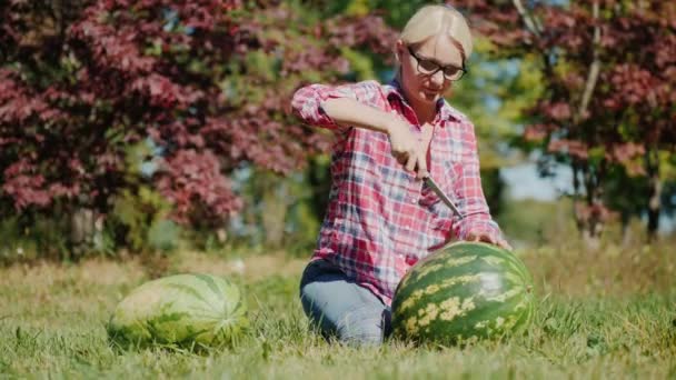 Uma agricultora está a cortar uma grande melancia. Senta-se em um prado, outono e conceito de colheita — Vídeo de Stock