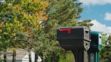 Genç bir kadının mektupları posta kutusundan alır..