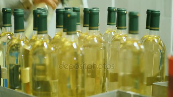 El trabajador toma botellas de vino blanco del transportador. Trabajo en la bodega, concepto de industria vitivinícola — Vídeos de Stock