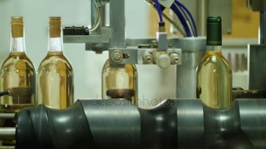 Konveyör taşıma şarap şişeleri vardır. Şarap, şarap üretimi