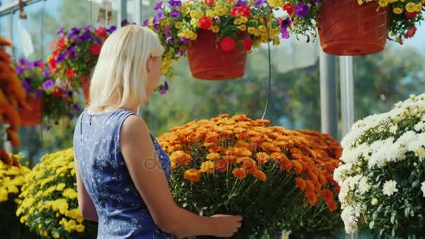 Ο αγοραστής επιλέγει λουλούδια στο νηπιαγωγείο. Αγορά διακοσμήσεις για το σπίτι — Αρχείο Βίντεο