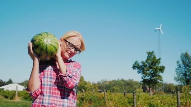 En kvinna arbetar på en gård. Hon bär en stor vattenmelon. God skörd och lantliv koncept — Stockvideo