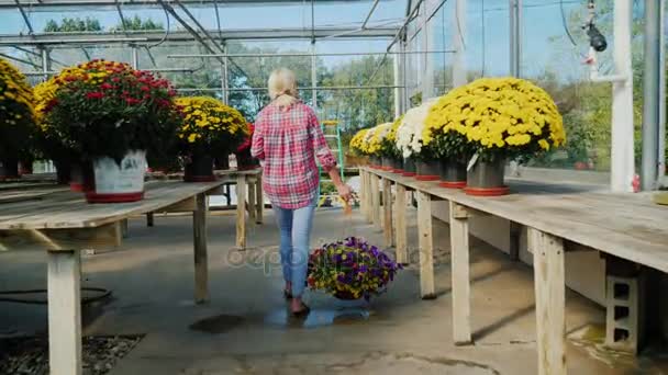 Rückansicht: Eine Frau geht in einen Blumenladen, trägt einen Blumentopf und telefoniert. Konzept zum Kauf von Blumen — Stockvideo