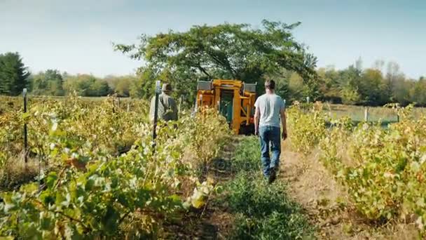 Zwei Bauern gehen durch den Weinberg. voraus ist eine Weinlesemaschine — Stockvideo