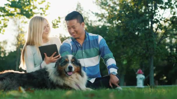 Freunde von Studenten ruhen sich im Park mit einem Hund aus. ein digitales Tablet verwenden — Stockvideo