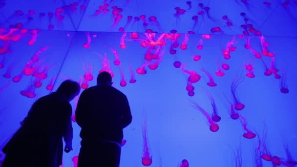 Toronto, Canadá, octubre de 2017: Un par de turistas admiran la pared, donde las medusas flotan con iluminación de color — Vídeo de stock