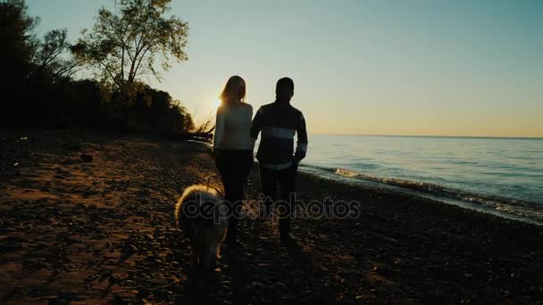 Couple multiethnique marchant avec un chien près de la mer ou d'un lac, au coucher du soleil — Video
