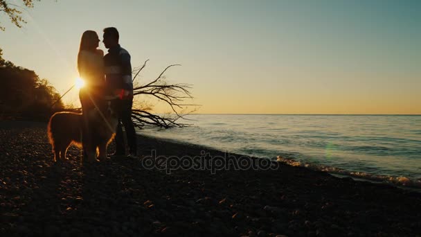 Jeune couple au coucher du soleil avec animal de compagnie. Se tenir côte à côte sur la toile de fond du lac et le soleil couchant — Video