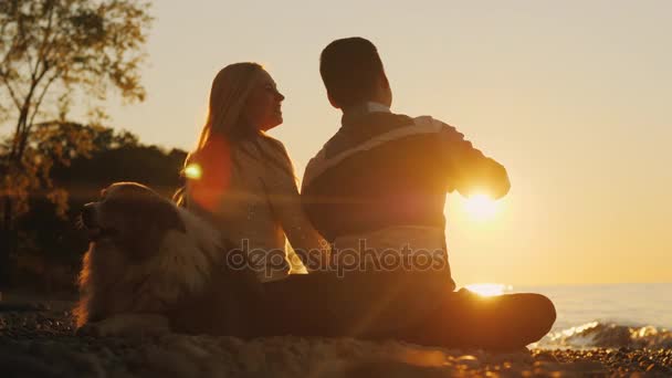 日落时分, 浪漫情侣在海滩上休息。坐在他们旁边, 他们附近是他们的狗 — 图库视频影像