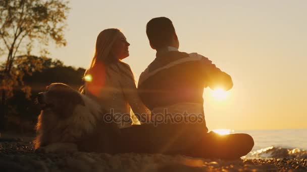 Una coppia romantica si riposa sulla spiaggia al tramonto. Siediti accanto a loro, vicino a loro c'è il loro cane — Video Stock