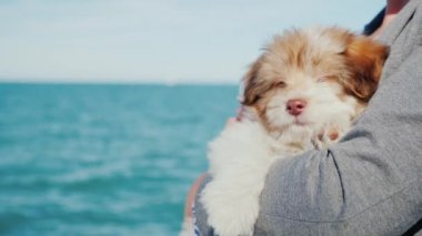 Bir kadın bir köpek yavrusu kucağında deniz arka planı tutuyor.