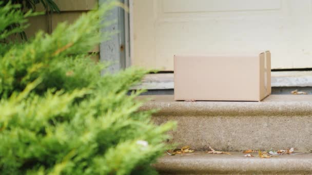 Nimmt die Frau das Paket von der Schwelle ihres Hauses. im Rahmen sind nur die Tür, der Kasten und die Beine der Frau sichtbar — Stockvideo