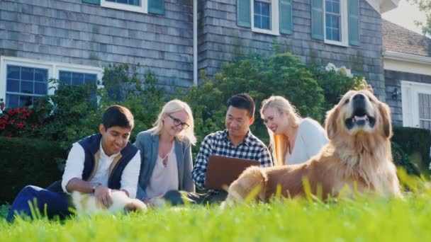 Un grupo de amigos descansan juntos, se sientan en el césped, junto a ellos un cachorro y un perro. Utilice un ordenador portátil — Vídeo de stock