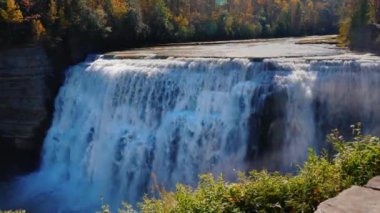 Güzel Genesee nehir bankalar ile sonbahar ormanıyla kaplı. Letchworth State Park. 4k 10 bit video