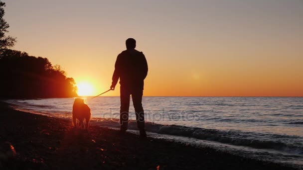 在日落时, 一个孤独的人带着一条狗在湖边或海边散步。后视图 — 图库视频影像