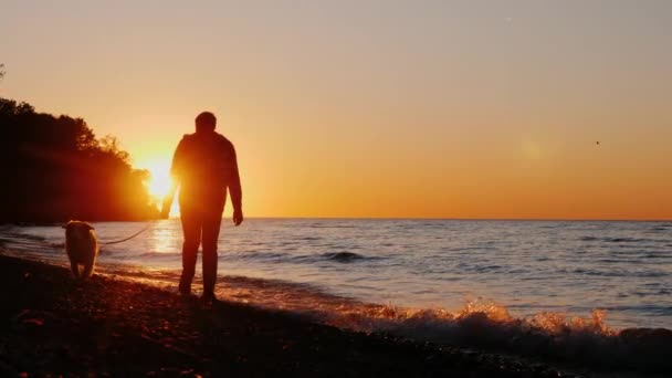 Um homem solitário caminha com um cão perto do lago ou do mar ao pôr-do-sol. Vista frontal, câmera lenta vídeo 4k — Vídeo de Stock