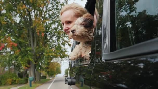 A woman with a dog looks out of the window of a traveling car together. Traveling with a pet concept — Stock Video