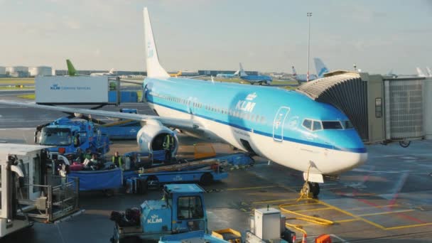 Amsterdam, Nizozemí, říjen 2017: Z letadla společnosti Klm vyložit zavazadla cestujících — Stock video