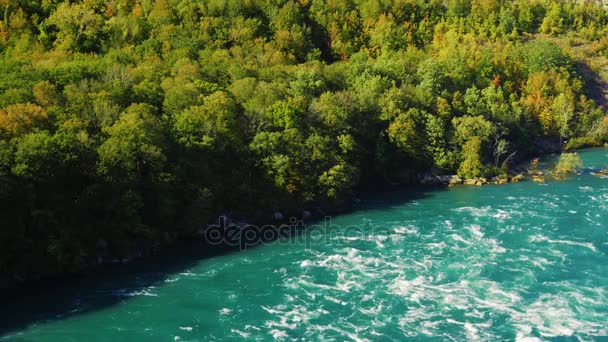 Grønn skog ved den kanadiske kysten og Niagara-elven. Grensen mellom USA og Canada – stockvideo