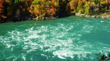 Yüksek kayalık sahil boyunca Niagara Nehri akar sonbahar orman kaplı. Doğal sonbahar günü. Bir orman kadar nehirden kamera tava