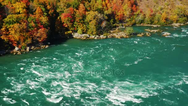 Tok řeky Niagara peřejí. Na pozadí barevné podzimní les. Řeka dělí v USA a Kanadě, populární turistická trasa New York — Stock video