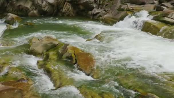 Un tormentoso río de montaña, un arroyo de agua que fluye a través de grandes piedras — Vídeo de stock