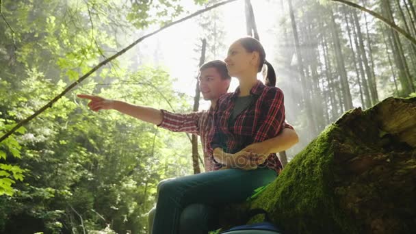 Un joven par de turistas descansan en el bosque en un lugar pintoresco. Están iluminados por los rayos del sol. Siéntate junto a un tronco — Vídeo de stock