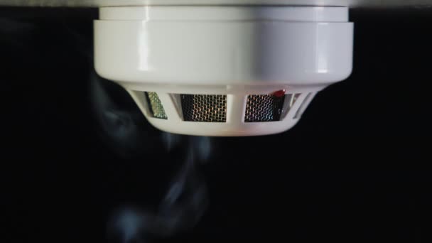 煙感知器は、火災によってトリガーされます。煙と炎が表示されます。 — ストック動画