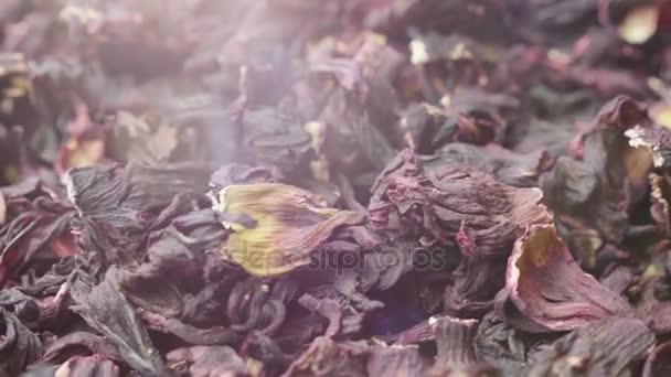 Hojas de carcade de té. Video con destello de lente hermosa. Bebida tradicional egipcia — Vídeo de stock