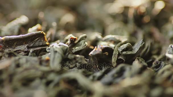 Makro close-up shot: velký list černý čaj. — Stock video